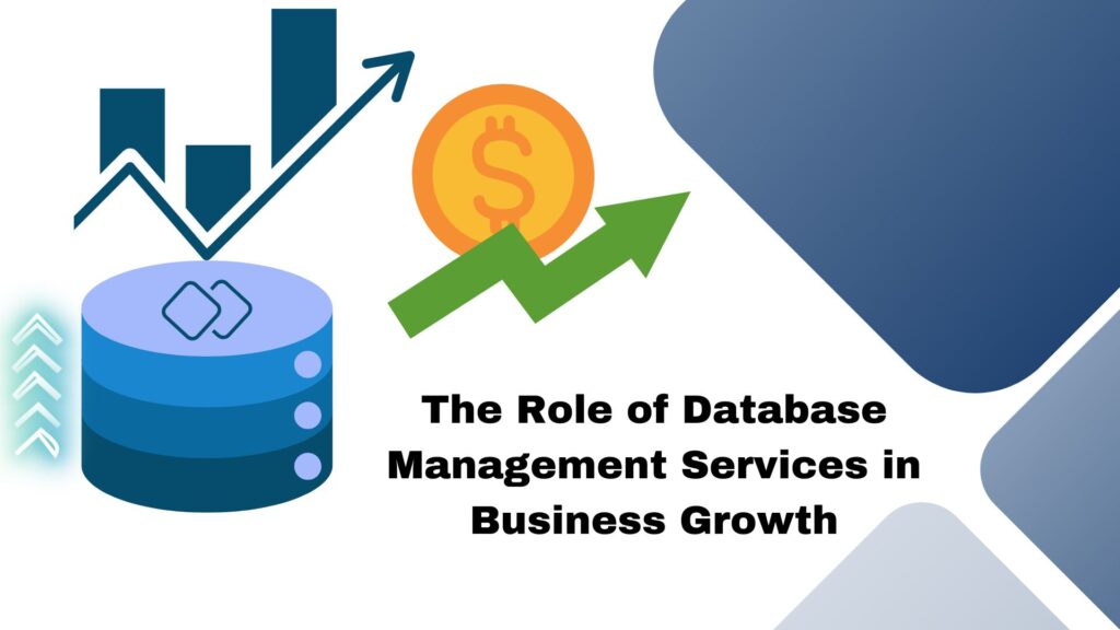 The Role of Database Management Services in Business Growth