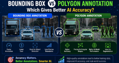 Bounding Box vs Polygon Annotation Which Gives Better AI Accuracy